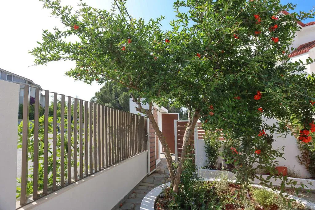 Anastasia Apartments Hanioti Memory travel (16).jpg